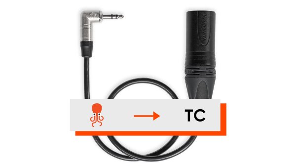 Tentacle zu XLR Kabel